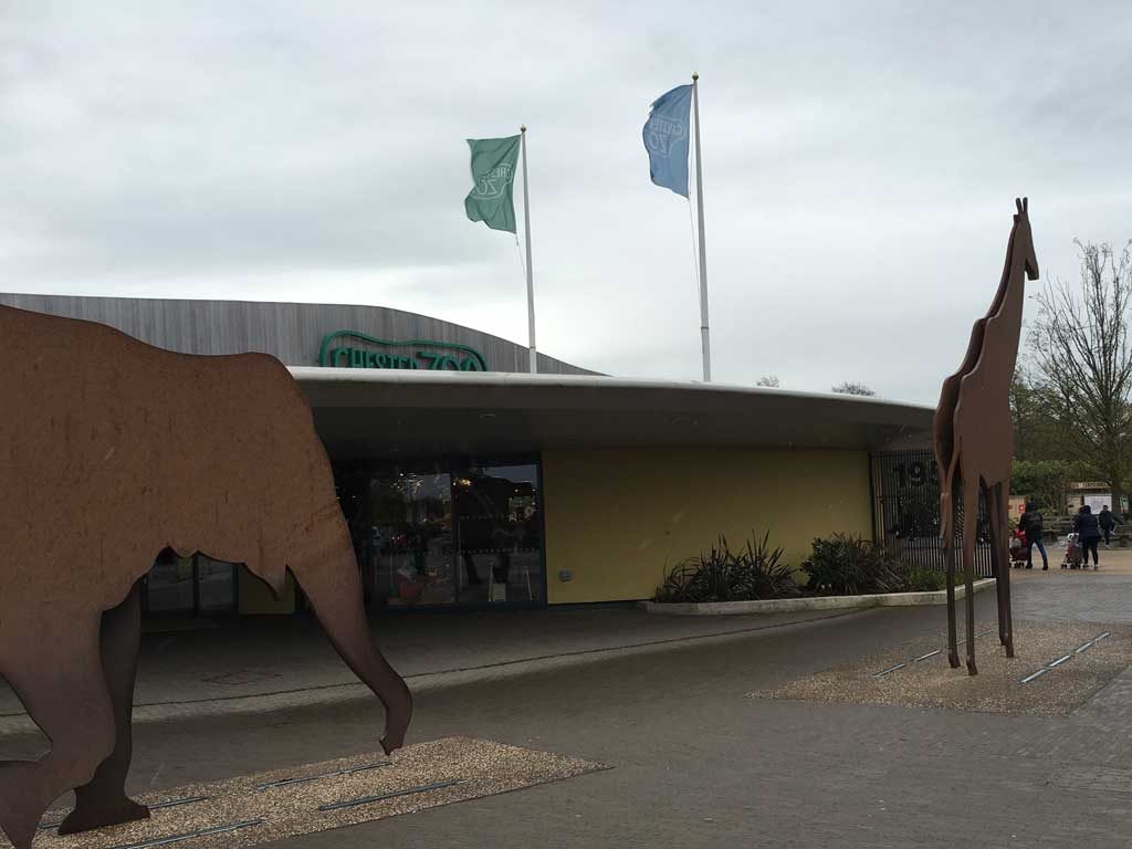 chesterzoo59