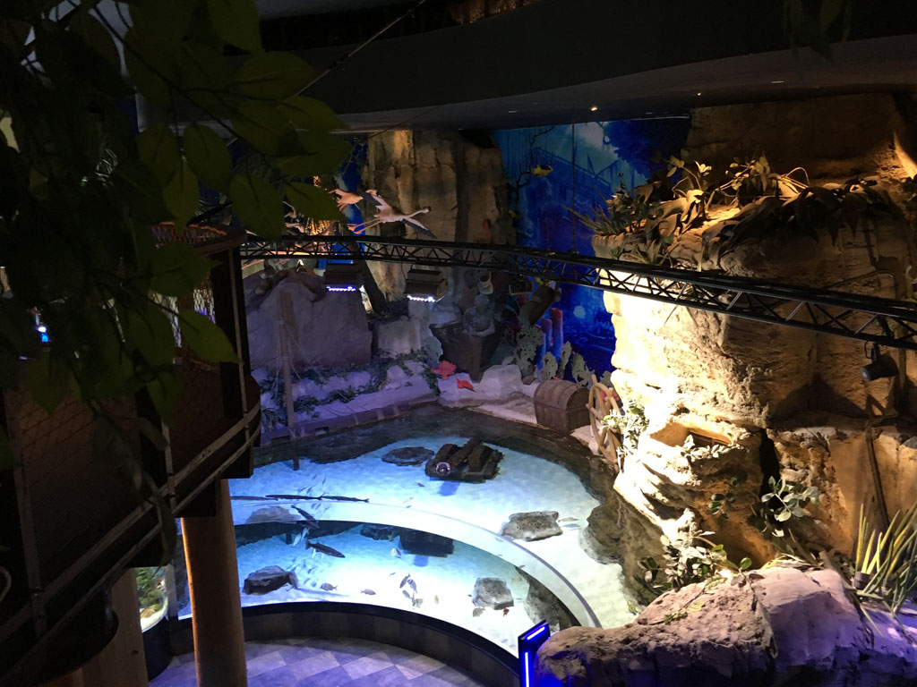 Dubai Aquarium and Underwater Zoo Review You need to visit Family