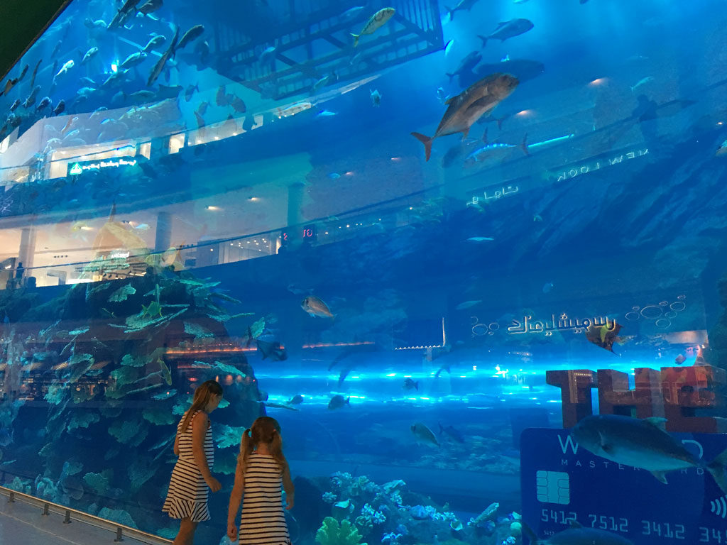 Dubai Aquarium and Underwater Zoo Review You need to visit Family Travel Blog