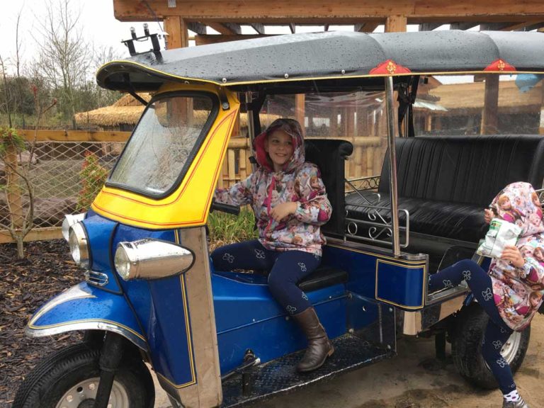 Chester Zoo Review You need to visit Family Travel Blog