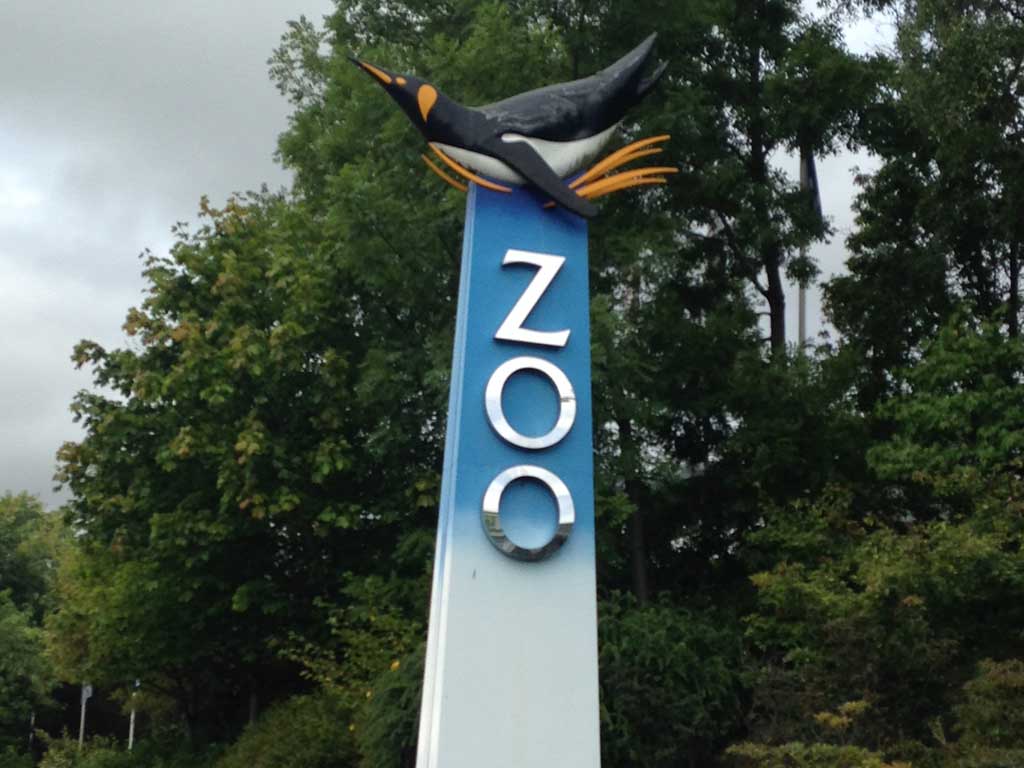 A day out at Edinburgh Zoo You need to visit Family Travel Blog