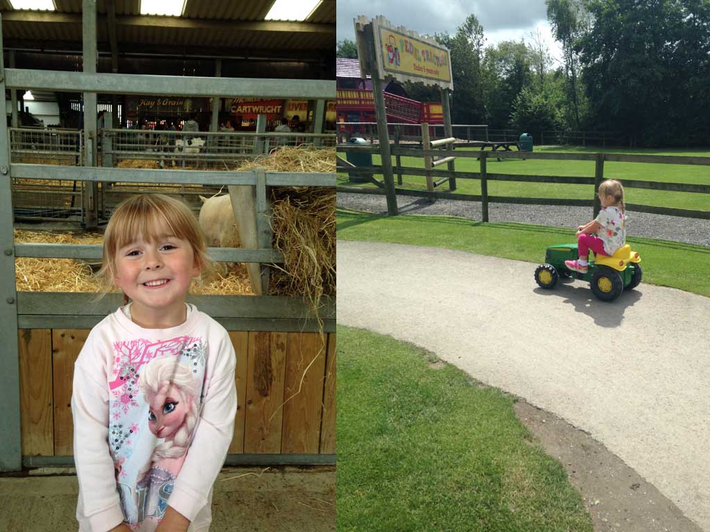 Folly Farm Review You need to visit Family Travel Blog