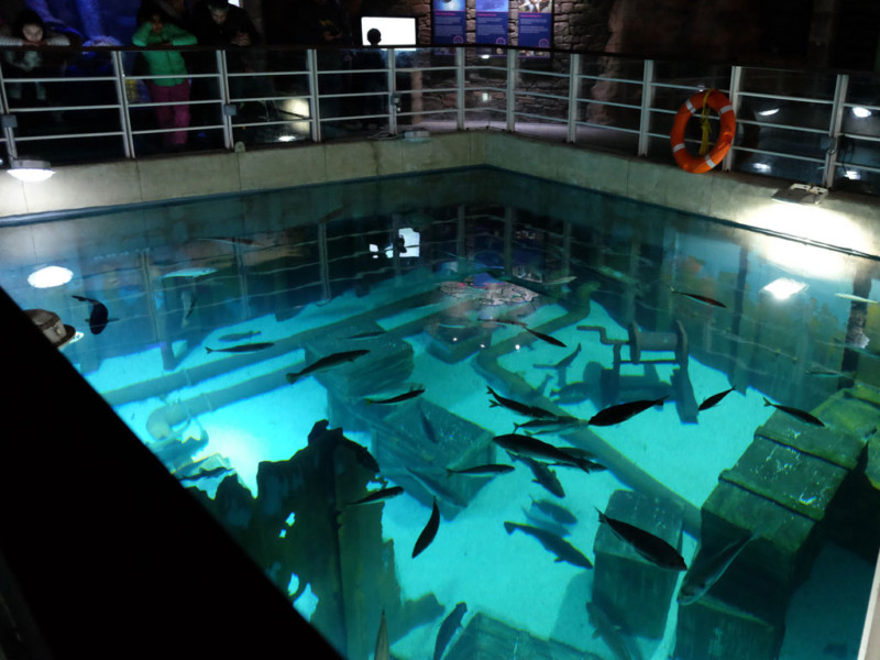 Review Bristol Aquarium, Bristol You need to visit Family Travel Blog