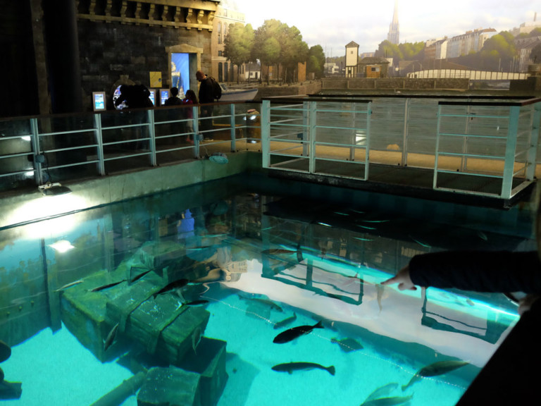 Review Bristol Aquarium, Bristol You need to visit Family Travel Blog