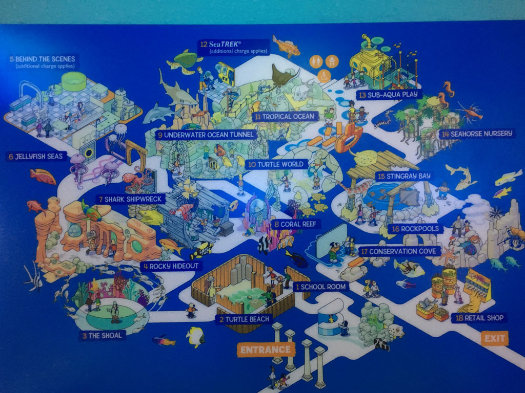 Sea Life Manchester Aquarium Review You need to visit Family