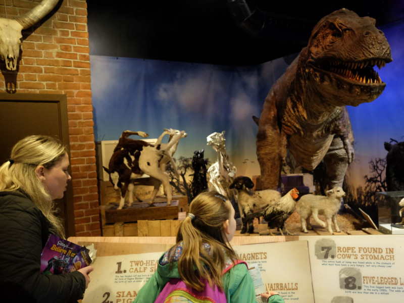 Ripley’s Believe it or not London - Review – You need to visit | Family ...
