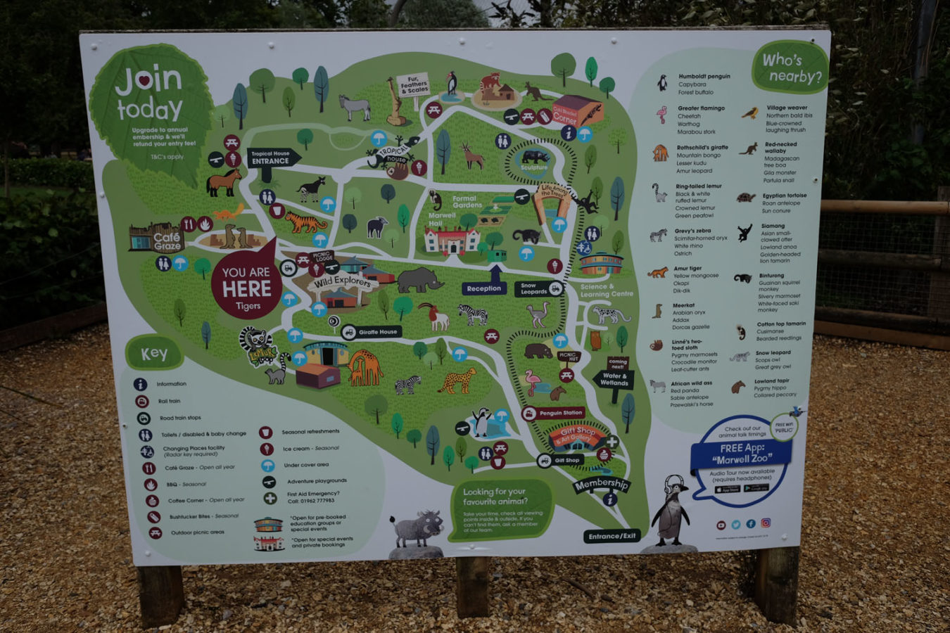 Marwell Zoo Review You need to visit Family Travel Blog