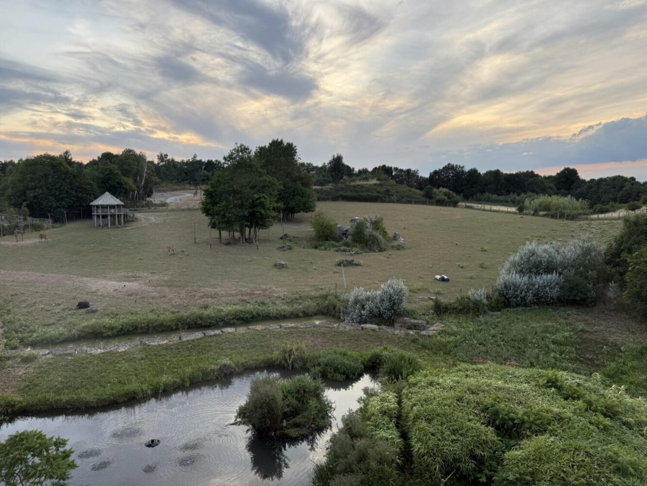 A safari stay at Chessington World of Adventures - these were the best ...